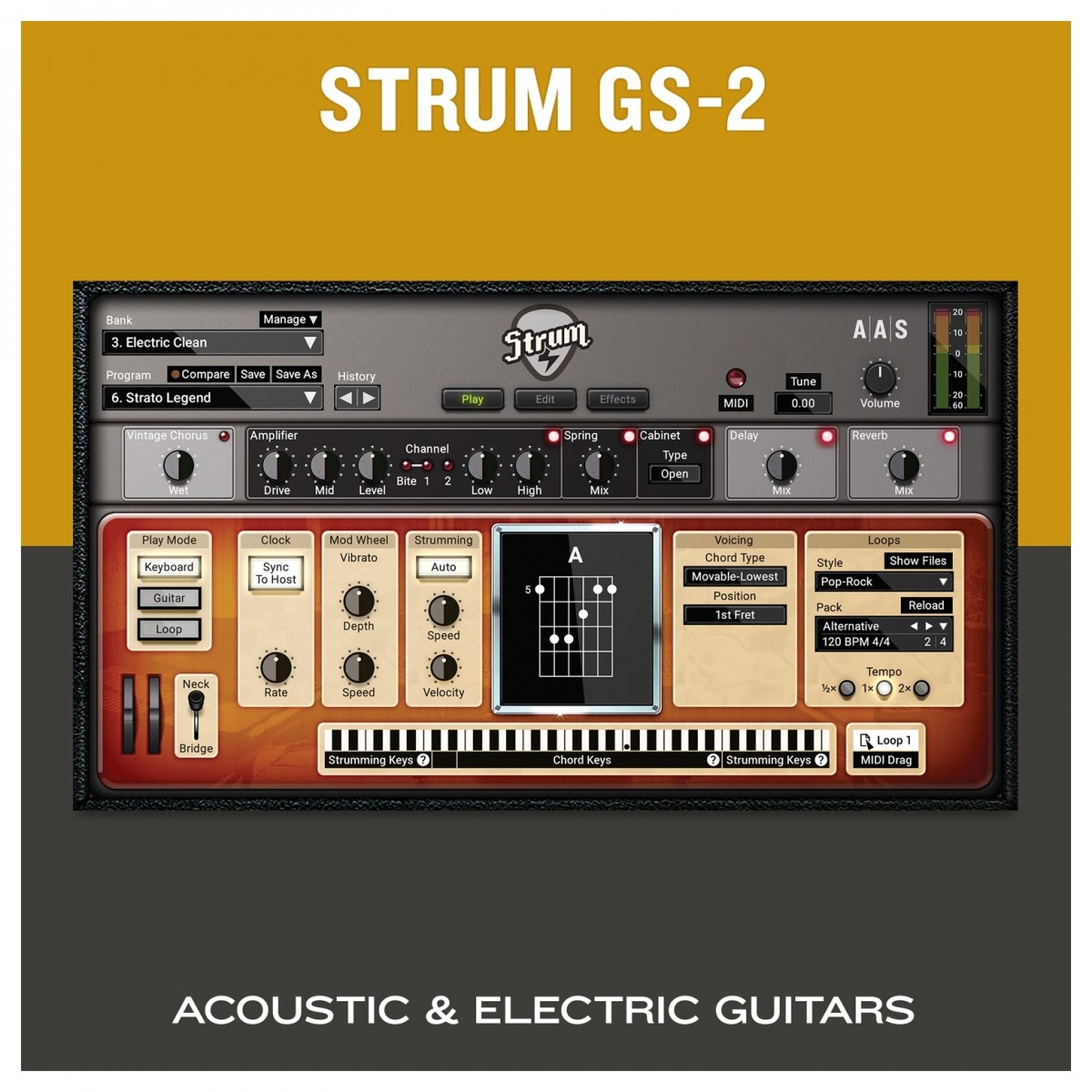 AAS Applied Acoustics Systems Strum GS-2